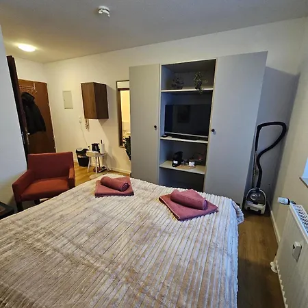 1-zimmer In Zentraler Lage *