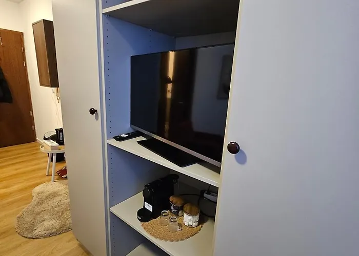 Apartment 1-zimmer In Zentraler Lage